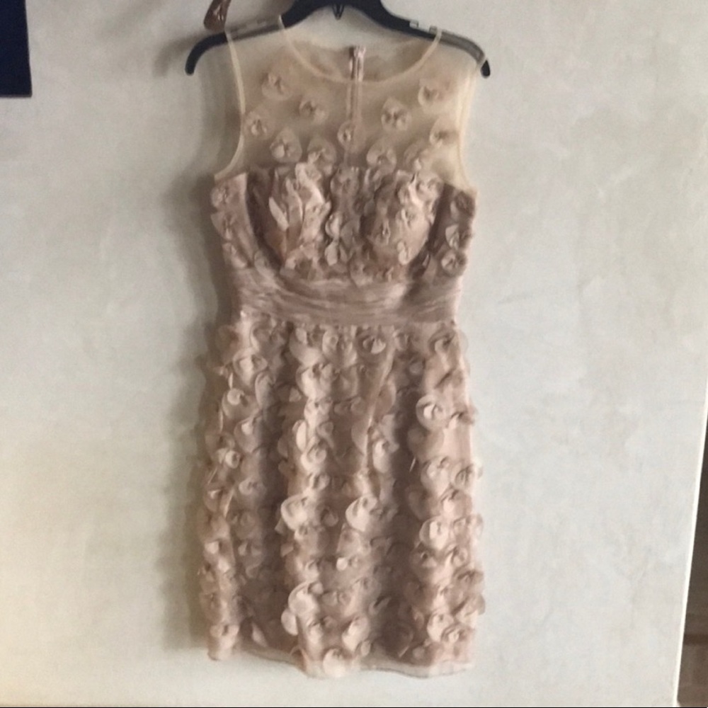 Js Collection - image 1